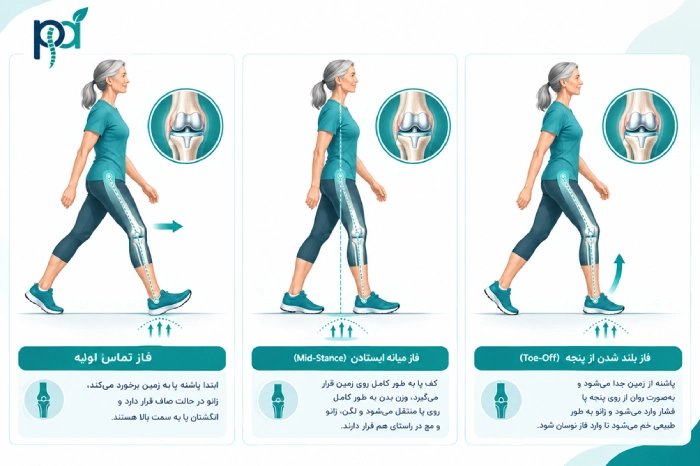 رانش با پنجه 