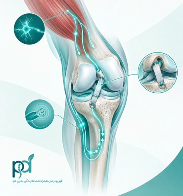 فاز پیش از جراحی