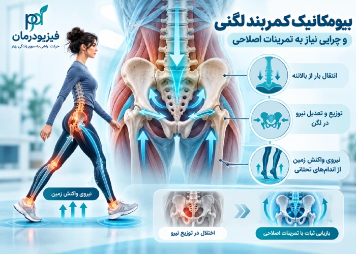 بیومکانیک کمربند لگنی